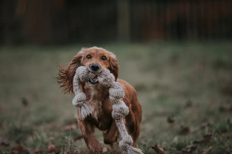 Hemp Rope Toys