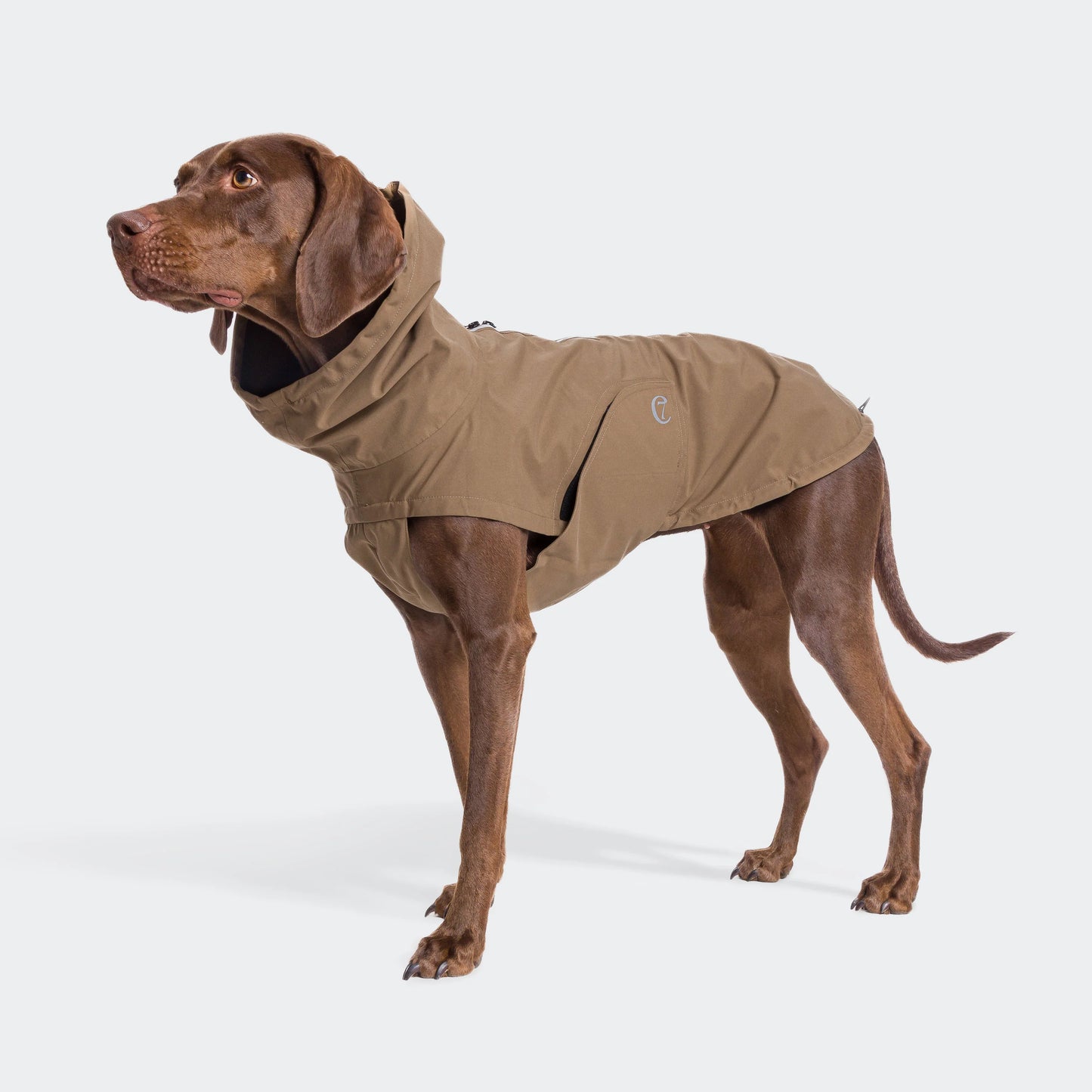 Dublin Raincoat
