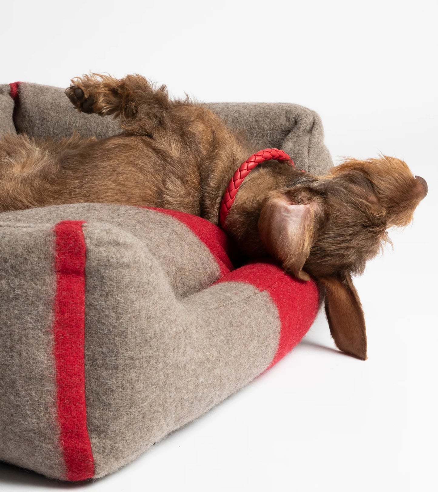 HENRI Recycled Wool Dog Bed