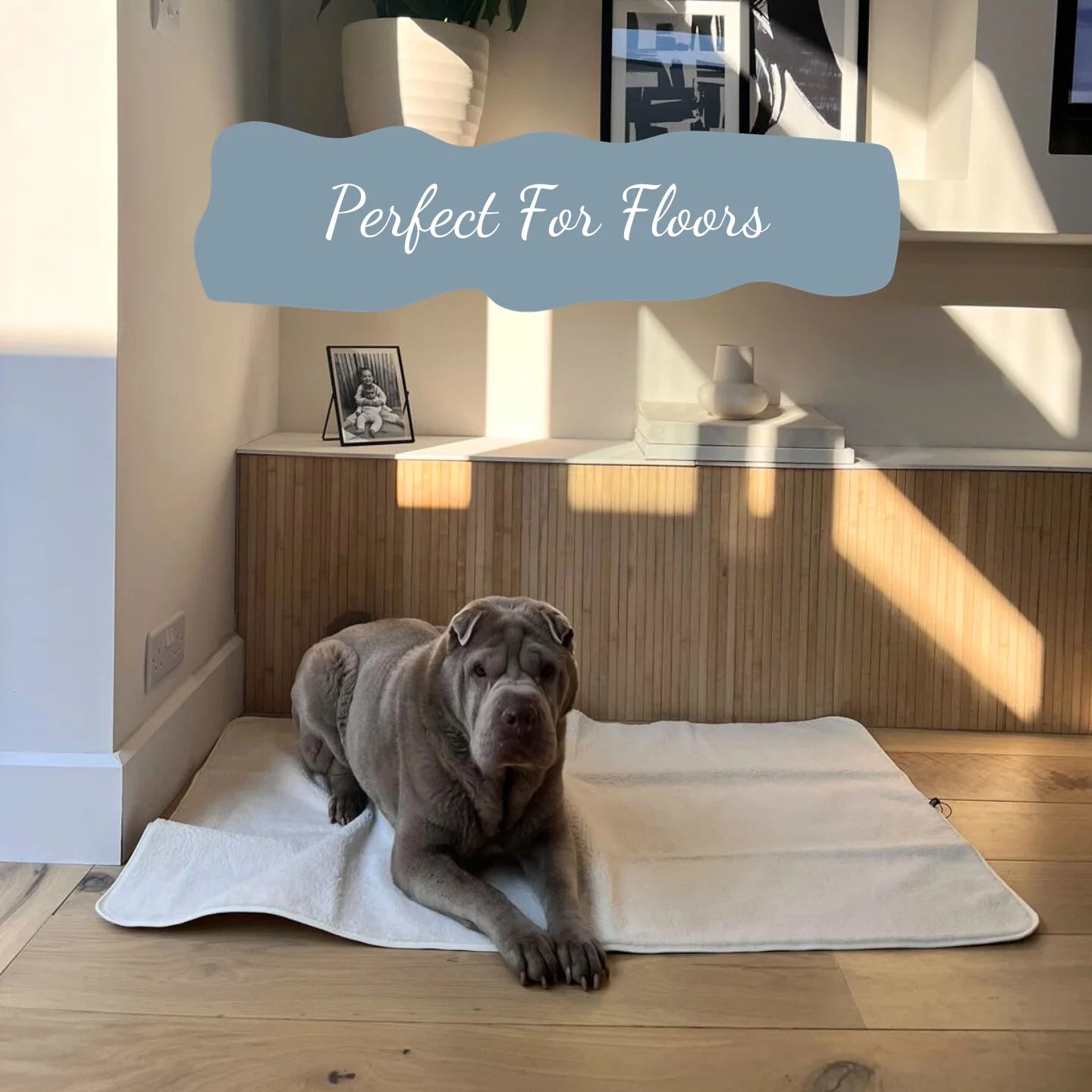 PK Waterproof Dog Blanket