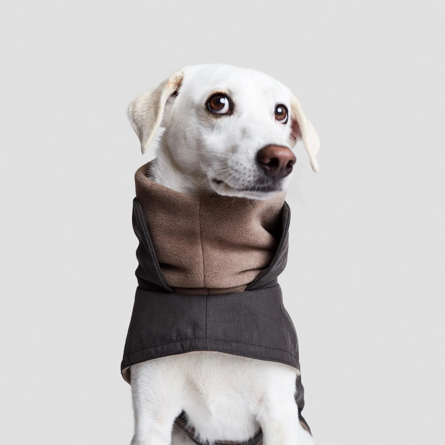 Brooklyn Graphite Coat