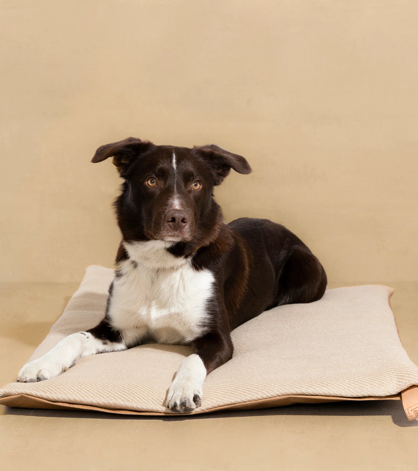 RICHARD Jute Dog Cushion