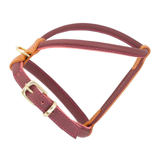 Rolled Leather Harness