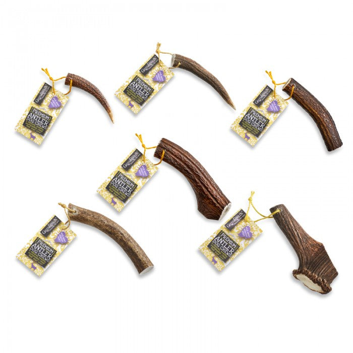 Antler Chew