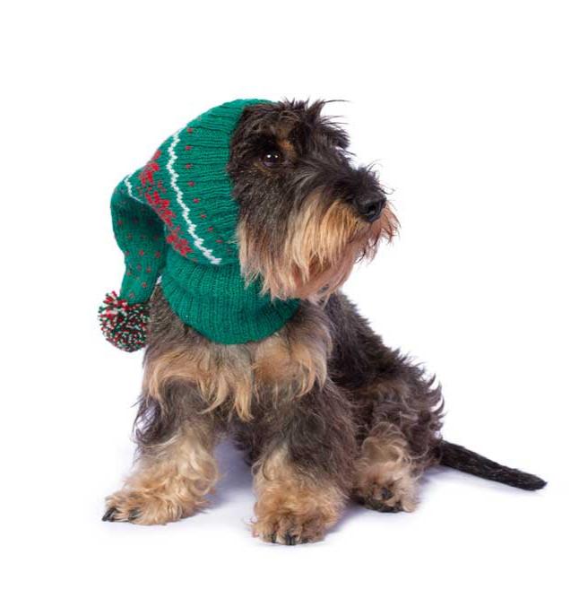 Alpaca Dog Hat