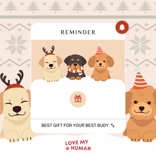 Unleash Joy: Luxury Dog Gifts for a Pawsitively Perfect Christmas!