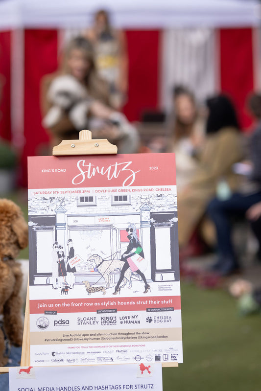 Struzt 2023: A Pawsitively Heartwarming Dog Show for a Worthy Cause
