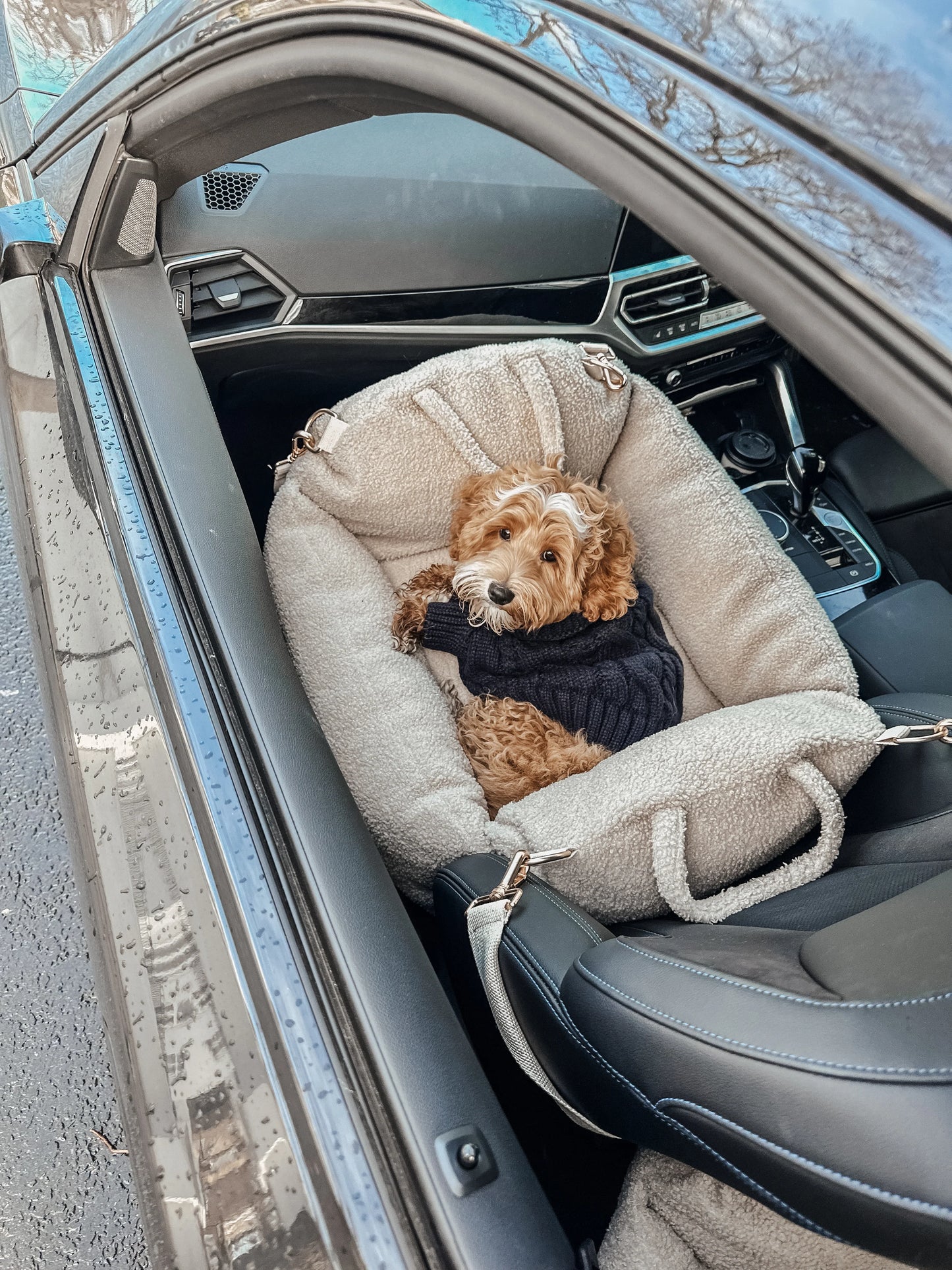 Cosy car seat