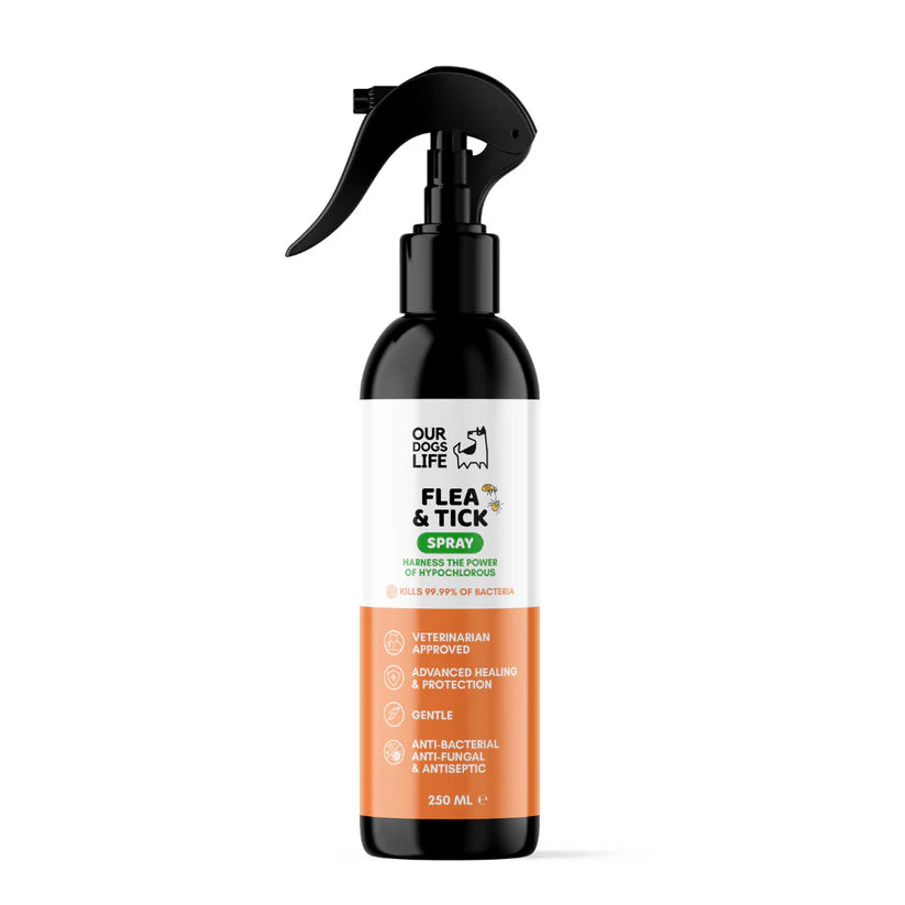 Flea & Tick Spray