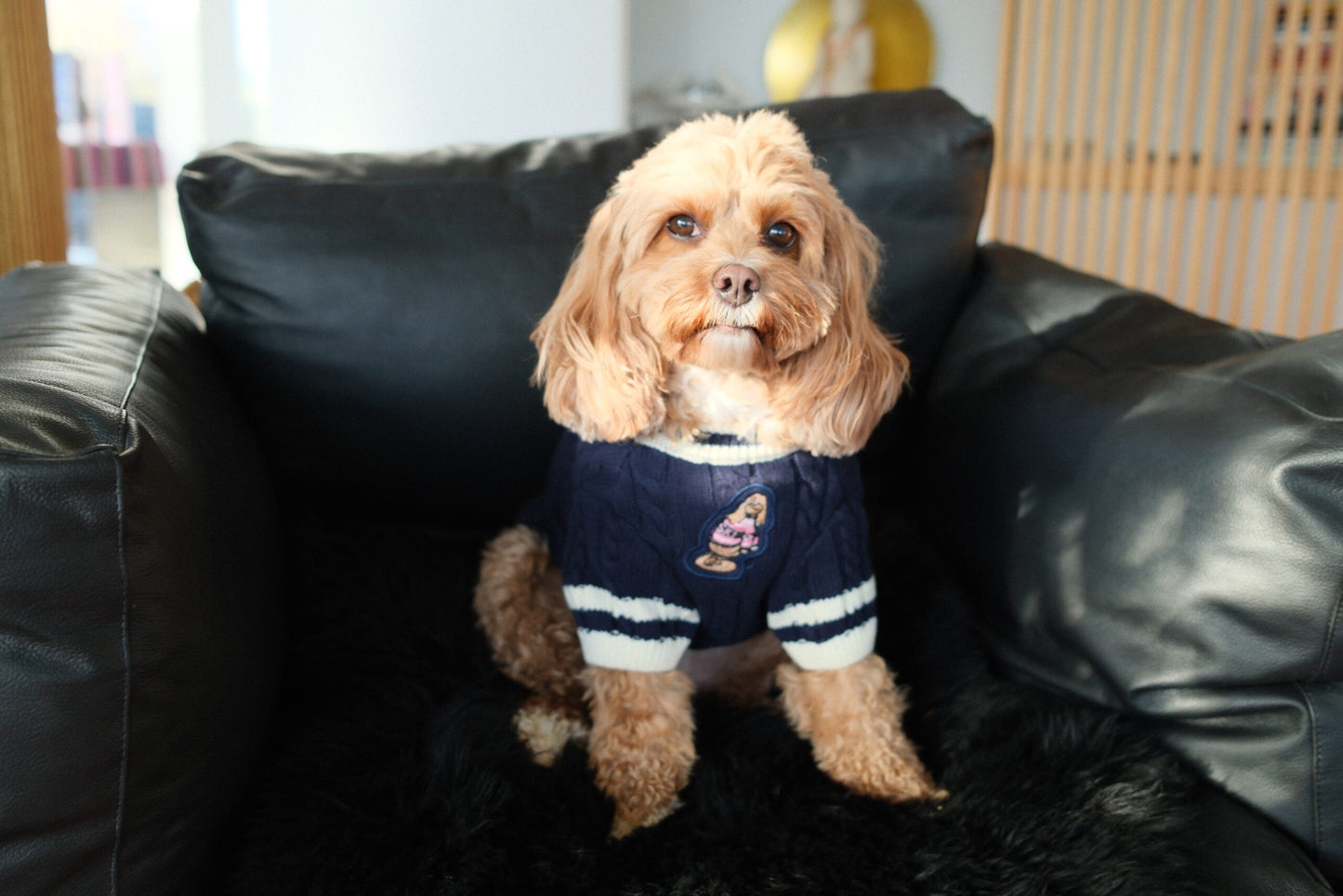 Canine Sporting Knit