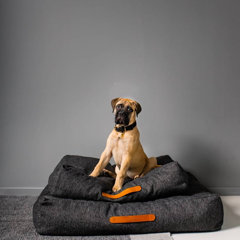 Homey Dog Bed