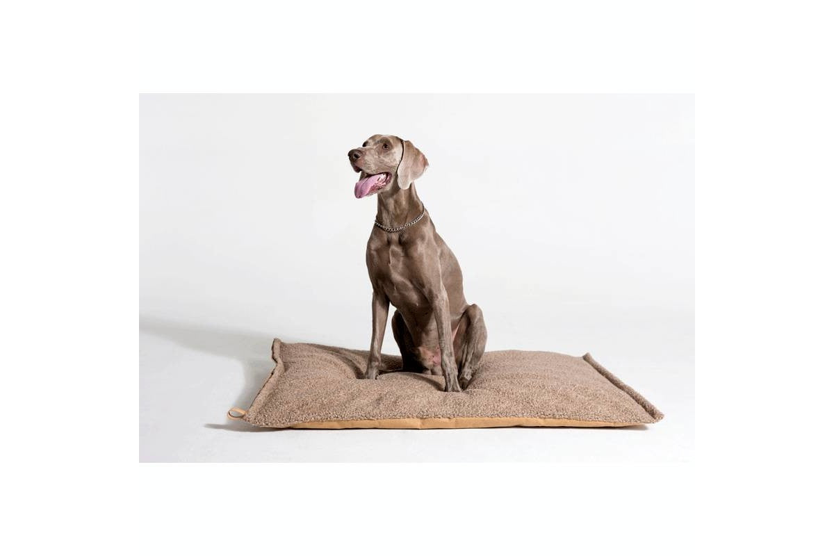 RICHARD Bouclé Dog Cushion