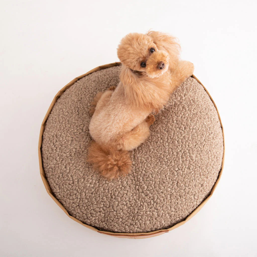 IRVING Havana Dog Cushion