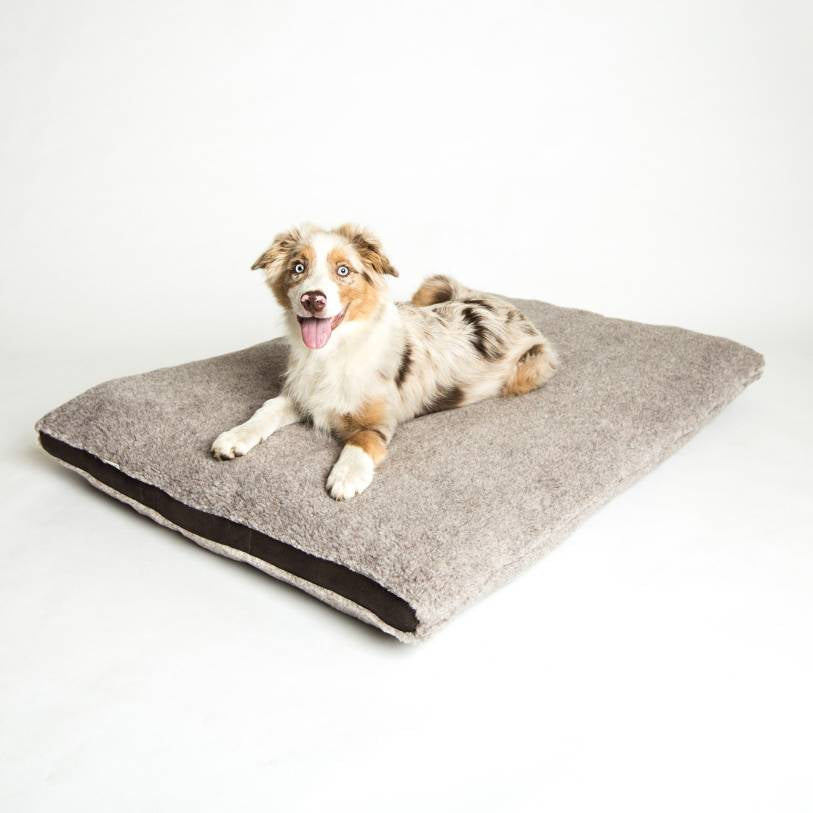 Siesta Teddy Dog Bed