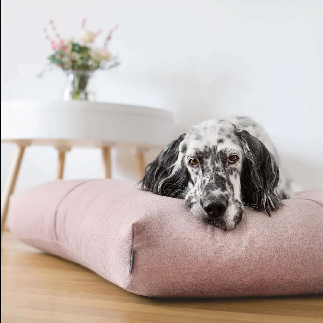 FINNO dog bed