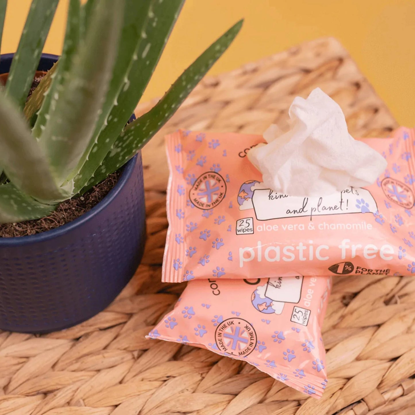 Compostable Travel Wipes