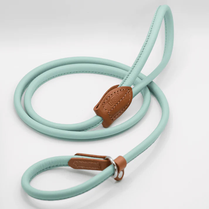 Rolled Leather Slip Lead