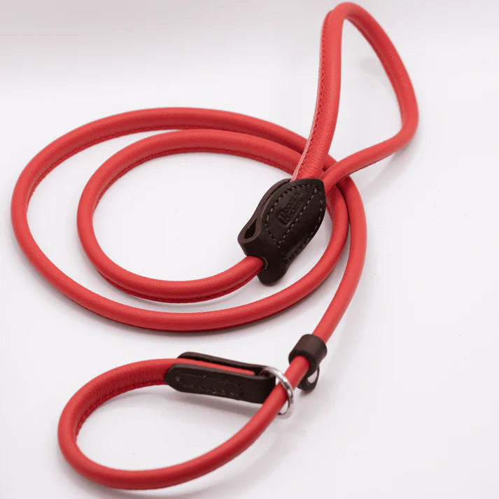 Rolled Leather Slip Lead