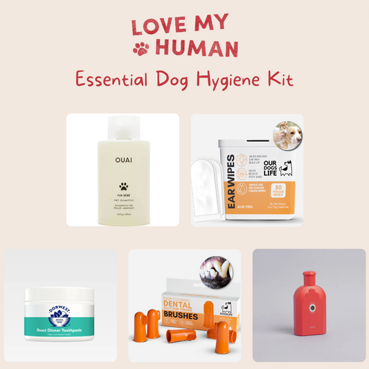 Essential Dog Hygiene Kit