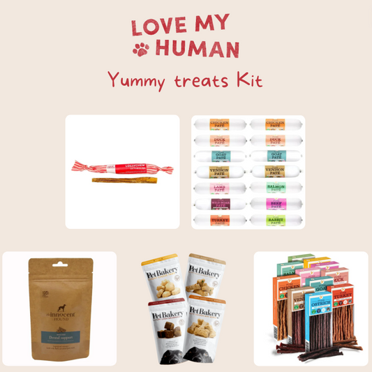 Yummy Treat Kit