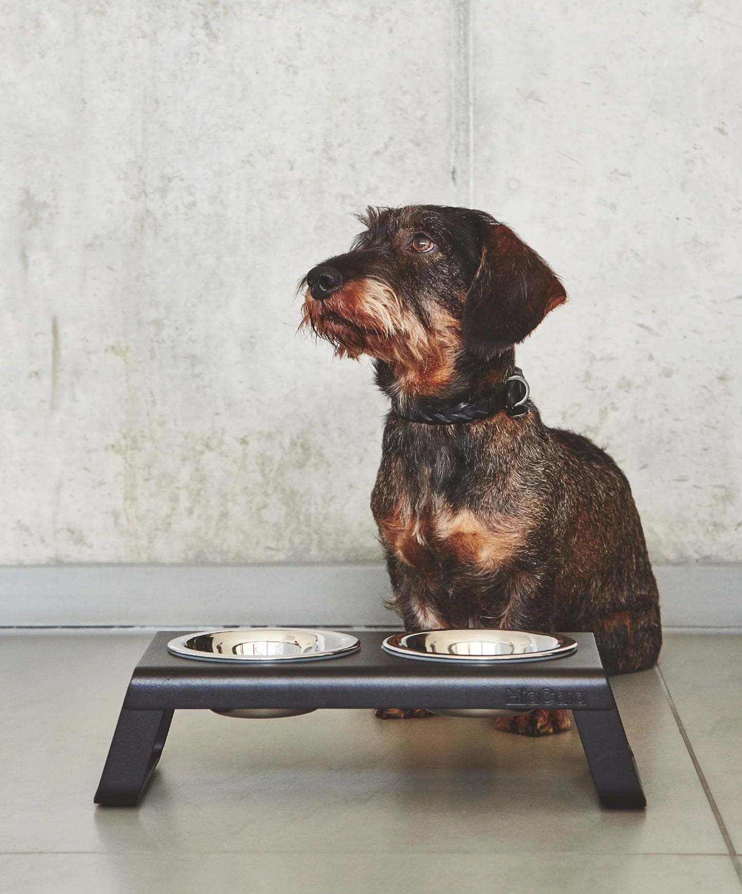 Desco Dog Bowl