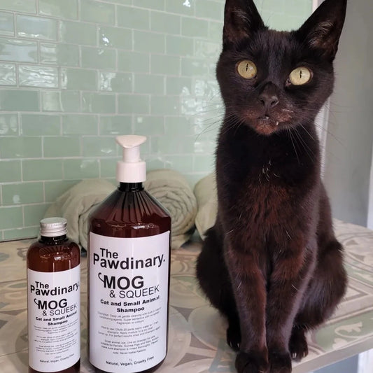 Pawdinary Mog and Squeek Cat Shampoo